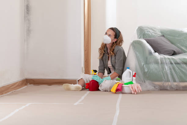 Reliable Basement Mold Removal contractor in Callao, VA by WQB Mold Removal